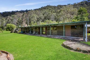 Farm Sold - NSW - Laughtondale - 2775 - 25 Acres On The Hawkesbury River with Flood Free Home  (Image 2)