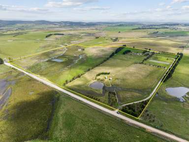 Farm Sold - NSW - Goulburn - 2580 - Beautiful Corner Acreage  (Image 2)