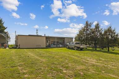 Farm Sold - NSW - Goulburn - 2580 - Beautiful Corner Acreage  (Image 2)