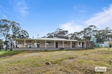 Farm Sold - VIC - Frenchmans - 3384 - Picturesque and Productive Farmlet With Business Potential  (Image 2)