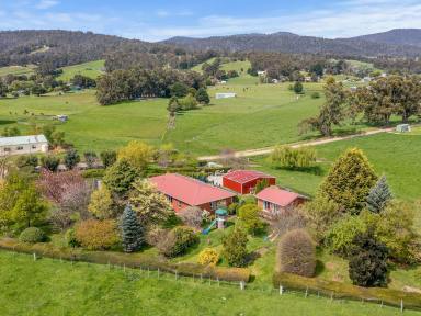 Farm For Sale - TAS - Huonville - 7109 - STRAIGHT OUT OF BETTER HOMES AND GARDENS  (Image 2)
