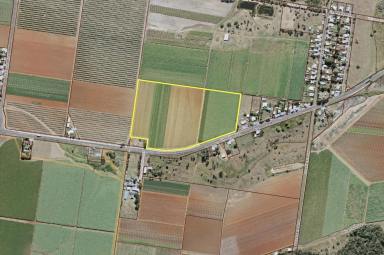 Farm Sold - QLD - South Kolan - 4670 - GREAT MARKET GARDEN OR MAYBE LIFESTYLE BLOCK  (Image 2)