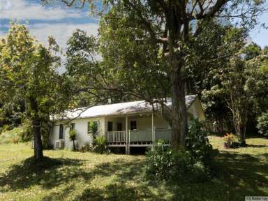 Farm Sold - QLD - Tully - 4854 - UNIQUE PROPERTY WITH TWO HOMES ON SEPARATE TITLES  (Image 2)