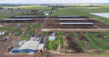 Farm Expressions of Interest - NSW - Finley - 2713 - Three contiguous properties located in the renowned Southern Riverina District that have been extensively developed for irrigation and feed lotting.  (Image 2)