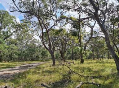 Farm For Sale - QLD - Torbanlea - 4662 - Prime Development Opportunity  (Image 2)