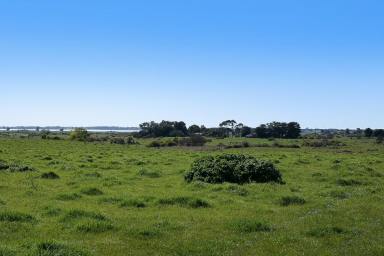 Farm Sold - VIC - Warrion - 3249 - Outstanding Colac District Property  (Image 2)