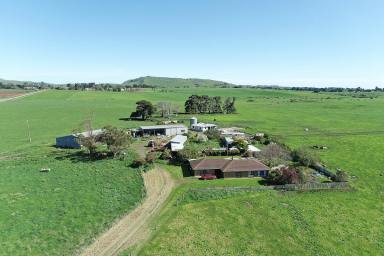 Farm Sold - VIC - Warrion - 3249 - Outstanding Colac District Property  (Image 2)