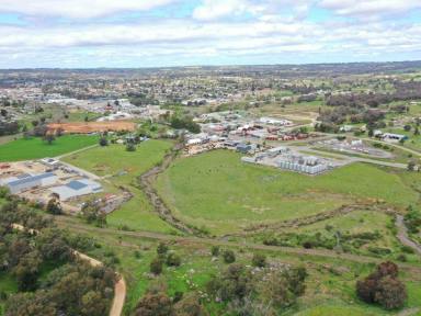 Farm Sold - NSW - Young - 2594 - Offered for sale via Expressions of Interest  (Image 2)