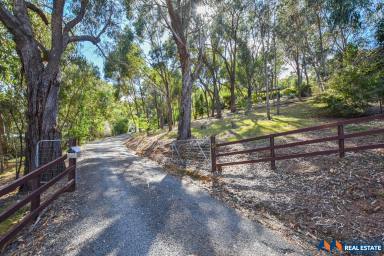 Farm Sold - VIC - Myrtleford - 3737 - Over an acre with an elevated tranquil setting  (Image 2)