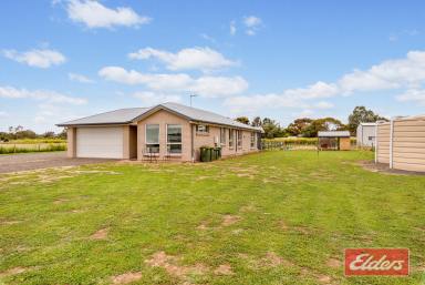 Farm Sold - SA - Wasleys - 5400 - UNDER CONTRACT BY JEFF LIND  (Image 2)