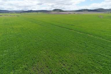 Farm Sold - QLD - Budgee - 4359 - 'Kindara'
Irrigation Farm with 200 Acre Barley Crop  (Image 2)