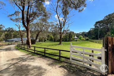 Farm Sold - VIC - Red Hill - 3937 - ‘Barrington Manor’ Stunning contemporary farmhouse on 5.5 acres  (Image 2)