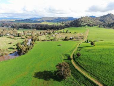 Farm Sold - NSW - South Gundagai - 2722 - PRIME TUMUT VALLEY MIXED-FARMING HOLDING  (Image 2)