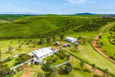 Farm Sold - SA - St Ives - 5252 - JAKEM  FARM - The Great Australia Dream  (Image 2)