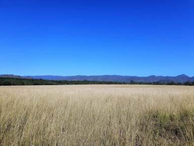 Farm For Sale - QLD - Dimbulah - 4872 - Start fresh on the Walsh  (Image 2)