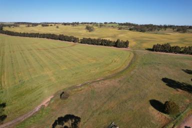 Farm Sold - WA - East Pingelly - 6308 - Secure a Rural base  (Image 2)