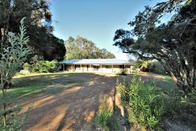 Farm Sold - WA - Leschenault - 6233 - Peaceful Lifestyle in Leschenault  (Image 2)