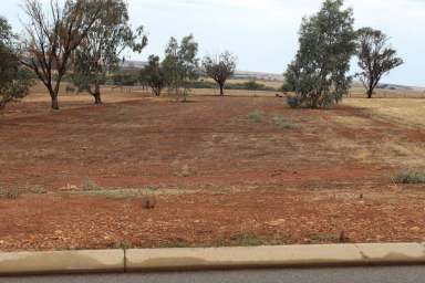 Farm Sold - WA - Northam - 6401 - Realise Your Rural Retreat - Large Vacant Block Awaits Your Grand Designs  (Image 2)