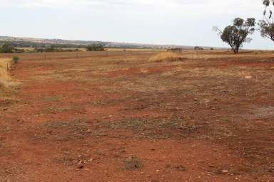 Farm Sold - WA - Northam - 6401 - Realise Your Rural Retreat - Large Vacant Block Awaits Your Grand Designs  (Image 2)