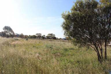 Farm Sold - WA - Northam - 6401 - Sense the Space  (Image 2)