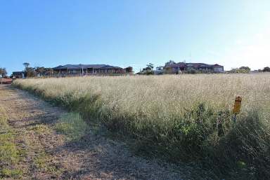 Farm Sold - WA - Northam - 6401 - Sense the Space  (Image 2)