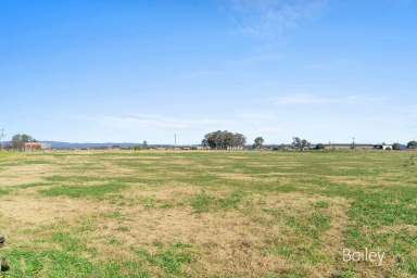 Farm Sold - NSW - Singleton - 2330 - FERTILE ALLUVIAL SOILS | TWO SEPARATE TITLES  (Image 2)