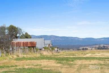 Farm Sold - NSW - Singleton - 2330 - FERTILE ALLUVIAL SOILS | TWO SEPARATE TITLES  (Image 2)