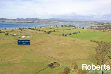 Farm Sold - TAS - Kelso - 7270 - Picture Perfect Parcel of Land  (Image 2)
