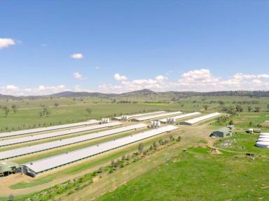 Farm For Sale - NSW - Somerton - 2340 - Poultry Production Enterprise  (Image 2)
