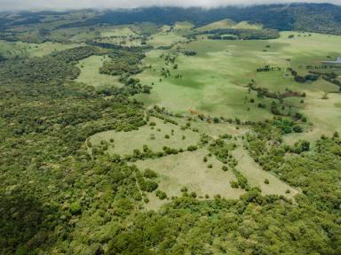 Farm Sold - QLD - Ravenshoe - 4888 - Freehold and lifestyle grazing land with the opportunity to build your dream home!  (Image 2)
