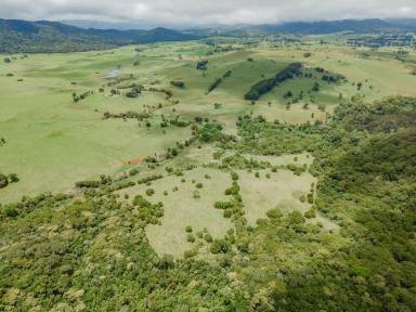 Farm Sold - QLD - Ravenshoe - 4888 - Freehold and lifestyle grazing land with the opportunity to build your dream home!  (Image 2)