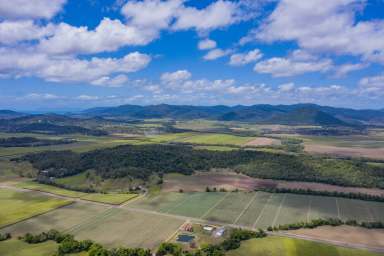 Farm Sold - QLD - Strathdickie - 4800 - UNDER CONTRACT WITH SHAUN DOBBINS  (Image 2)