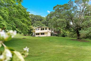 Farm Sold - QLD - Lower Daintree - 4873 - A Daintree Dream: A Stunning, Picturesque Home on 30.44ha, Overlooking Green Vista for Miles!  (Image 2)