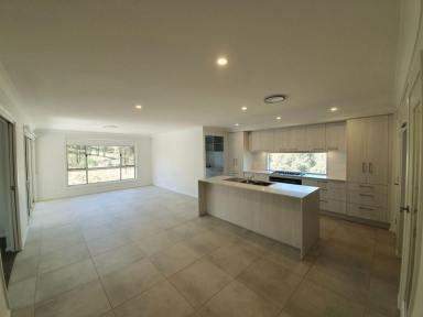 Farm Sold - NSW - Muswellbrook - 2333 - A COMPLETE BRAND NEW 5 B/R HOUSE AND ACRES OVER LOOKING THE VALLEY AND READY TO OCCUPY!  (Image 2)
