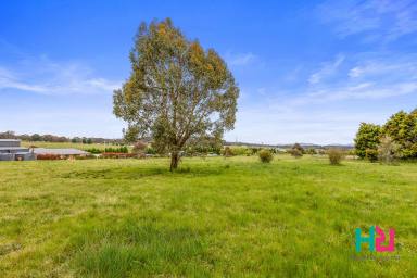 Farm Sold - NSW - Portland - 2847 - Potential for a premium family lifestyle  (Image 2)