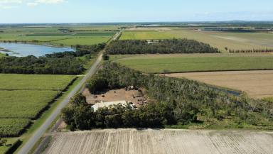 Farm Sold - QLD - Alloway - 4670 - Great Shed on 8.8 Acres.  (Image 2)