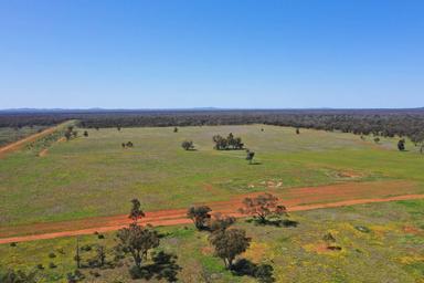 20574 Kidman Way , Mt Hope NSW 2877
