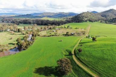 Farm Sold - NSW - Tumut - 2720 - Prime Tumut Valley Mixed-Farming Holding  (Image 2)