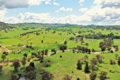Farm Sold - NSW - Tumut - 2720 - Prime Tumut Valley Mixed-Farming Holding  (Image 2)