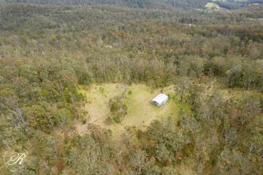Farm For Sale - NSW - Stroud - 2425 - 302 acres of Uninterrupted Views & Unlimited Potential  (Image 2)
