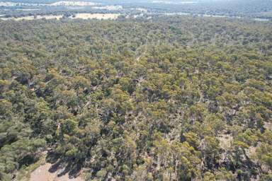 Farm For Sale - WA - Bakers Hill - 6562 - MAGNIFICENT VIRGIN BLOCK                                             289.53HA (715.13ACRES)  (Image 2)