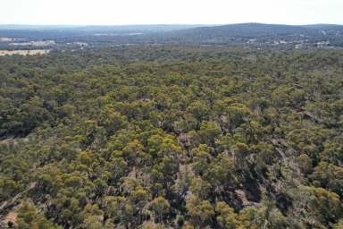 Farm For Sale - WA - Bakers Hill - 6562 - MAGNIFICENT VIRGIN BLOCK                                             289.53HA (715.13ACRES)  (Image 2)