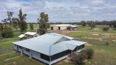 Farm Sold - QLD - Goondiwindi - 4390 - "Welcome to Coomba"  (Image 2)