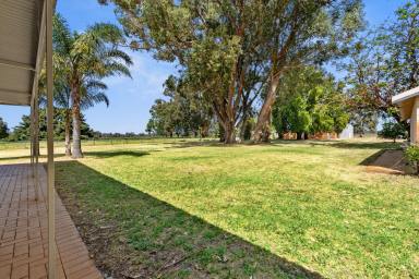 Farm Sold - WA - Nambeelup - 6207 - Tranquil riverside oasis on 238 acres  (Image 2)