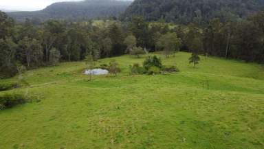 Farm Sold - NSW - Peacock Creek - 2469 - Well maintained weekender  (Image 2)