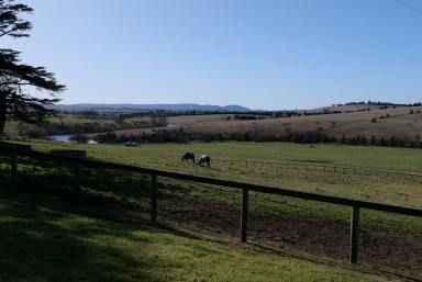 Farm Sold - NSW - Goulburn - 2580 - Historic Lynton (c 1870), Goulburn. Horses - Cattle - Lifestyle  (Image 2)