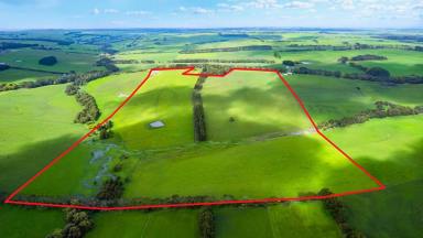 Farm Sold - VIC - Port Campbell - 3269 - ATTRACTIVE QUALITY PORT CAMPBELL-NEWFIELD DISTRICT ACREAGES  (Image 2)