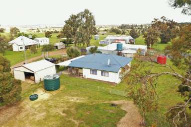 Farm Sold - WA - Boscabel - 6394 - Farming Lifestyle – with Income  (Image 2)