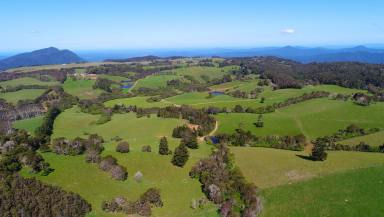 Farm Sold - NSW - Dorrigo - 2453 - An established and proven dairy in one of Australia's most liveable, productive and picturesque regions  (Image 2)