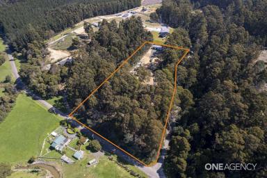 Farm For Sale - TAS - Wynyard - 7325 - 5 Acres, 5 Minutes From Town!  (Image 2)